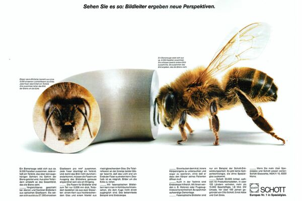 Bildleiter - Biene